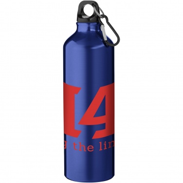 Logotrade ärikingituse foto: Oregoni 770 ml alumiiniumist veepudel karabiiniga