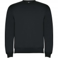 Clasica unisex crewneck kampsun, Tume plii