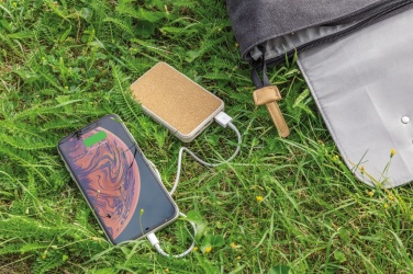 Logotrade reklaamkingi foto: Korgist ja nisust 5000 mAh taskujõupank