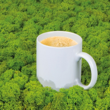 Logotrade reklaamkingid pilt: Keraamiline kruus MONZA 300 ml