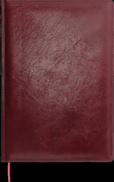 Logo trade ärikingi pilt: Kalendermärkmik 645131