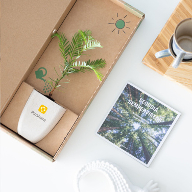Logotrade ärikingi foto: Treemore'i kirjakastipuud hiiglaslik sekvoia
