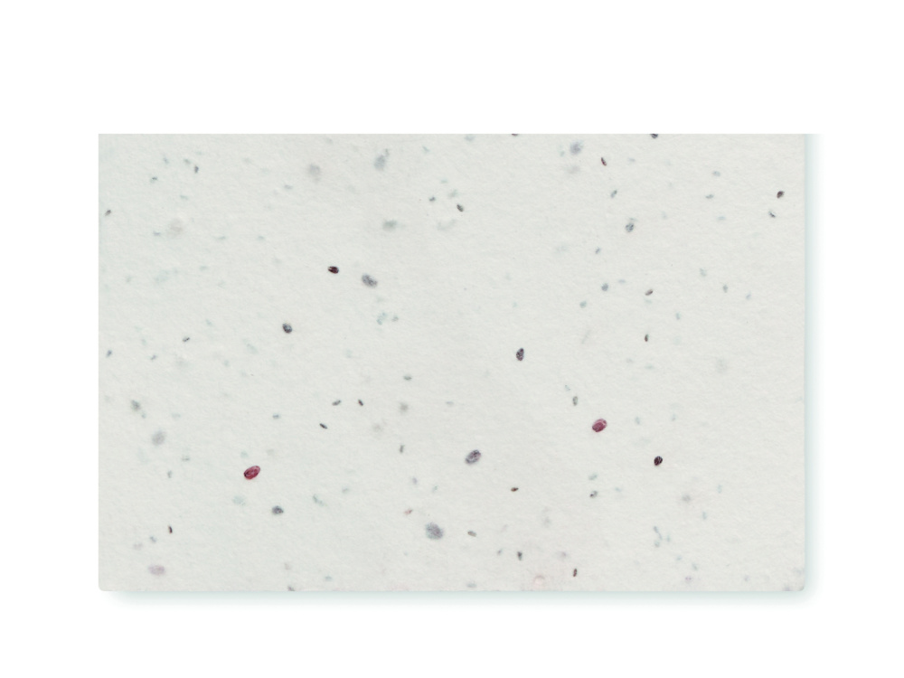 Logotrade meened pilt: ASIDA Seemnepaberist visiitkaart