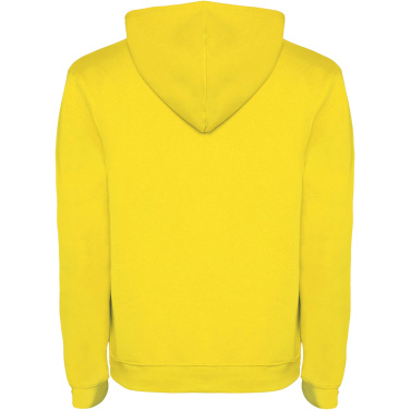 Logotrade reklaamtooted pilt: Urban meeste kapuutsiga hoodie