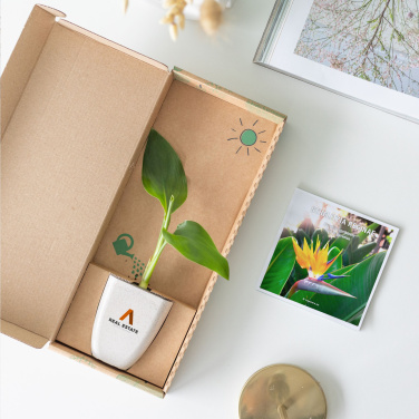 Logotrade liikelahja tuotekuva: Treemore Letterbox Trees Bird of Paradise -kasvi