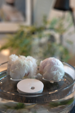 Logo trade liikelahja mainoslahja tuotekuva: Breevia RCS rplasic ladattava kelluva ilmankostutin