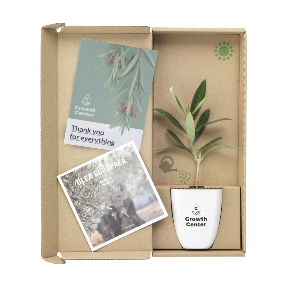 Logotrade reklaminiai produktai nuotrauka: Treemore Letterbox Trees Olive