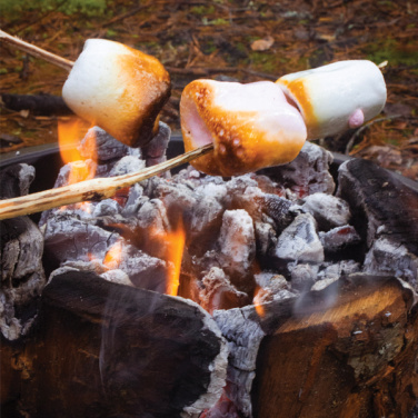 Лого трейд pекламные продукты фото: Eco Grill XL