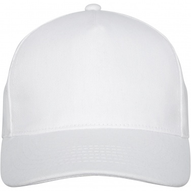 Logotrade profilreklam bild: Doyle 5-panels keps